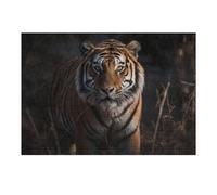 38x26cm/1000pcs Jigsaw Puzzles for Teenagerss Wild Tiger Stalking Through Shadows Puzzle for Adults Family Games But Fun And Humorous Deal As Gifts for The Whole Family 38x26cm/1000pcs