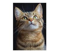 38x26cm/1000pcs Jigsaws Adults Puzzles Gifts Curious Tabby Cat Jigsaw Puzzle Hands-on Game Presents for Women Gifts for Friends And Family 38x26cm/1000pcs