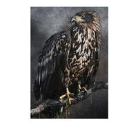38x26cm/1000pcs Puzzles for Teenagerss White Tailed Eagle Jigsaw Puzzle Toy Wall Decor Difficult Challenge Stress Reduction Gifts 38x26cm/1000pcs