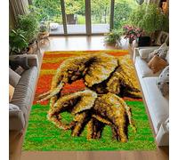 38x52 cm Latch Hook Kits for Adults, Latch Hook Rug Kit, Latch Hook Cushion Kits, Carpet Embroidery Needlework Crocheting, Tapestry Kits for Home Decoration, Crochet Rug Making Kit for Adults
