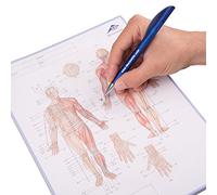 3B Scientific - Acupuncture Meridians Notepad - 1017881 (French Edition)