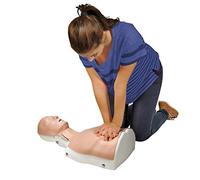 3B Scientific BASICBilly without feedback device