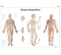 3B Scientific Body Acupuncture Educational Chart, Full Body Acupuncture Points Poster, Meridian System, Traditional Chinese Medicine Teaching Chart, 98 × 68 cm