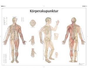 3B Scientific Body Acupuncture Educational Chart, Full Body Acupuncture Points Poster, Meridian System, Traditional Chinese Medicine Teaching Chart, 98 × 68 cm