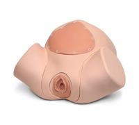 3B Scientific® Episiotomy & Suture Training Module - Light Skin Birthing Simulator Add-On for Perineal Repair & Suturing Practice