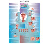 3B Scientific Human Anatomy - Birth Control Chart, Laminated Version