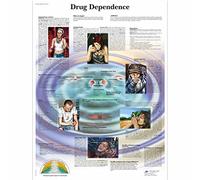 3B Scientific Human Anatomy - Drug Dependence Chart, Paper Version