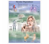 3B Scientific Human Anatomy - Nicotine Dependence Chart, Paper Version