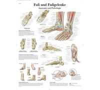 3B Scientific - Laminated Acupuncture Body Chart - UV & Dust-Protected Poster for Study, Teaching & Clinics