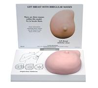 3B Scientific Left Breast Model with Irregular Masses