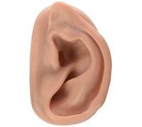 3B Scientific N15/1R Acupuncture Right Ear Model