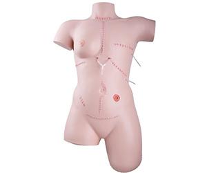 3B Scientific P100 Trainer for wound care and dressing techniques.