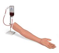 3B Scientific P50/1 Intravenous Injection Arm