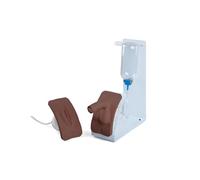 3B Scientific P93B-SD Catheterization Simulator BASIC Set (Male & Female, Dark Skin)