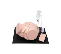 3B Scientific P93SPC-S Catheterization Simulator PRO Set (Male & Female, Light Skin)