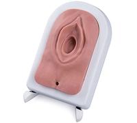 3B Scientific P95 perineal incision and suture simulator