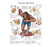 3B Scientific Printed in Paper, Sports Injuries, 1
