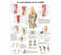 3B Scientific Printed in Paper, The Knee Joint, 1