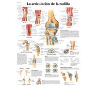 3B Scientific Printed in Paper, The Knee Joint, 1