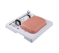 3B Scientific SONOtrain Ultrasound Vein Model