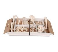 3B Scientific® Unmounted Half Skeleton Model - Life-Size Human Bones with Hand & Foot on Nylon + Smart Anatomy App (5-Year Warranty)