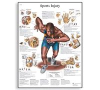 3B Scientific VR1188L Human Anatomy - Sports Injuries Chart, Laminated Version
