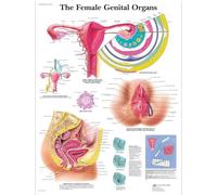 3B Scientific VR1532UU Human Anatomy - The Female Genital Organs Chart, Paper Version