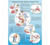 3B Scientific VR2770L "Gestes de premières urgences" Anatomical Board