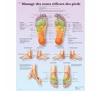 3B Scientific VR2810L "Massage des zones réflexes" Anatomical Board