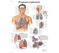 3B Scientific VR3322UU Printed on paper, the respiratory device