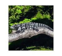 3d Animals 3d Printed Toy Tegasz Lizard for Stress Relief Home Office Decompression Decor Executive Desk Toys-22cm/8.7in