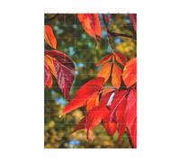 3D Art Brick Block Puzzle DIY Creative Building Blocks Fun Desk Decor Jigsaw Fall Red Leaves Print 37 Pcs