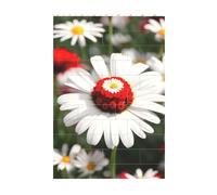 3D Art Brick Block Puzzle DIY Creative Building Blocks Fun Desk Decor Jigsaw Flower and White Daisy Print 37 Pcs