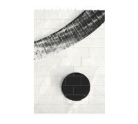 3D Art Brick Block Puzzle DIY Creative Building Blocks Fun Desk Decor Jigsaw Ice Hockey Art Print 37 Pcs