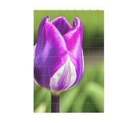 3D Art Brick Block Puzzle DIY Creative Building Blocks Fun Desk Decor Jigsaw Purple Tulip Print 37 Pcs