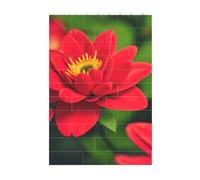 3D Art Brick Block Puzzle DIY Creative Building Blocks Fun Desk Decor Jigsaw Red Beautiful Flower Print 37 Pcs