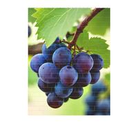 3D Art Brick Puzzle 141Pcs Bricks Block Puzzle Creative DIY Building Blocks Grape Printed