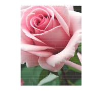 3D Art Brick Puzzle 141Pcs Bricks Block Puzzle Creative DIY Building Blocks Rose Blossom Printed