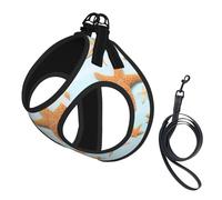 3d Beautiful Maritime Summer Print Harness Leash Set For Cats And Dogs, Reflective Adjustable, Soft Breathable Mesh Vest With Escape-Proof Lead, For Small Pets And Kitten Puppies