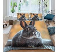 3D Breathable Microfibre cute rabbit sitting Quilt Cover Sets Soft Bedding Set with Pillowcases natural daylight Bedding Quilt Cover All Season Machine Washable for Men Women Kids Double（200x200cm）