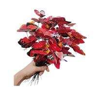 3D Butterfly Garden Stake Decor,10" PVC Butterfly Garden Decor for Outside,Shaking Head Artificial Butterflies for Bouquet Outdoor Wall Lawn Pathway Plant Pot Flower Bed Yard Decor (50, Red)