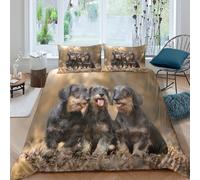 3D Comfortable Microfibre Dachshund puppies Duvet Cover Set Breathable Bedding Set with Pillow Shams cute outdoor pets Duvet Cover All Season Easy Care, Washable for Home Decor Single（135x200cm）