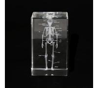 3D Crystal Skeleton Anatomy Cube, Human Bone Structure Model