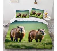 3D Cute Capybara Double Duvet Cover Sets Green Grassland Double Bedding Set Warm Comfort Microfiber Quilt Cover Size 200x200 cm with 2 Pillowcases 50×75 cm D-2103