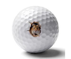 3D Cute Hamster Novelty Golf Balls Funny Elastic Golfs Training Ball Outdoor Sports Goods