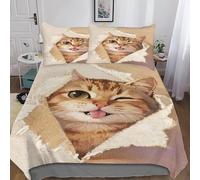 3D Cute Raccoon Cat Design Duvet Cover for Kids & Adults 3d Pattern Cartoon Cat Bedding Set Individuality Comforter Cover with Zipper Closure Breathable Quilt Cover Double（200x200cm）