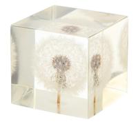 3D Dandelions Paperweight Real Puff Specimen Statue in Crystal Glass Cube Desk Ornament Fengshui Decor for Graduation Birthday Glass Balls