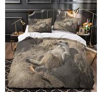 3D Design Printed 3 Pieces Bedding Set Bed Decor Zipper Closure Ultra Soft Meerkat Relaxing Quilt Cover Washable Anti-allergic for Teens,Youth,Women Wild Animal Duvet Cover Super king（260x220cm）