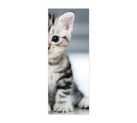 3D Door Stickers Animal Cat Mural Art Sticker Wallpaper Self-Adhesive Decals Removable Vinyl W85 x H205cm
