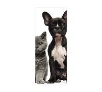 3D Door Stickers for Interior Doors Animal Cat W77 x H200 cm Door Vinyl Waterproof Self Adhesive Door Mural Decals for Bedroom Office Bathroom